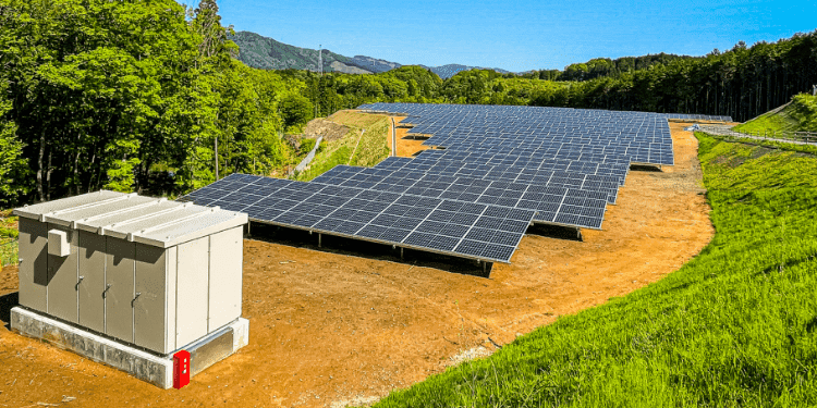 太陽光発電の造成工事
